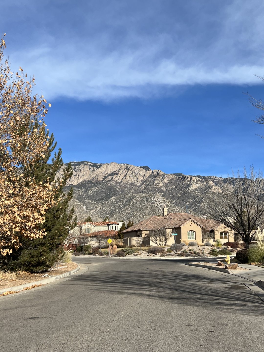 Primrose Point and the surrounding communities Meryl Manning Segel