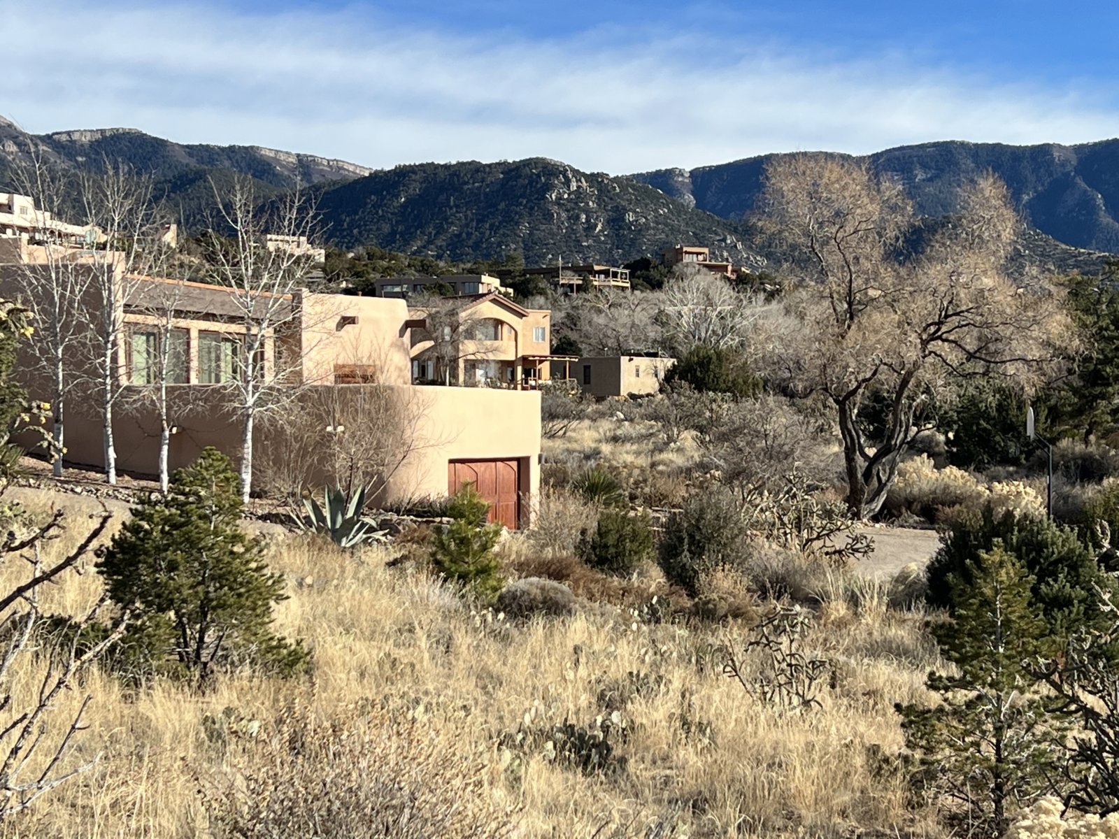 Sandia Heights, New Mexico Meryl Manning Segel