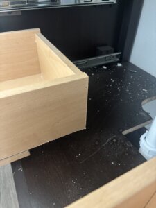 Ada Provenzano Tampa Fl Img 6164