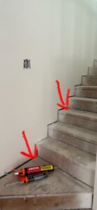 Ada Provenzano Tampa Fl Image0