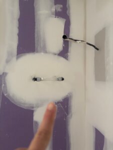 Ada Provenzano Tampa Fl Image2