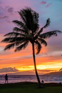 Reggie Audant Bic Wailuku Hi Maui 4439974 1280