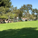 Nancy Acuna Newport Beach Ca Elcaminorealtustin