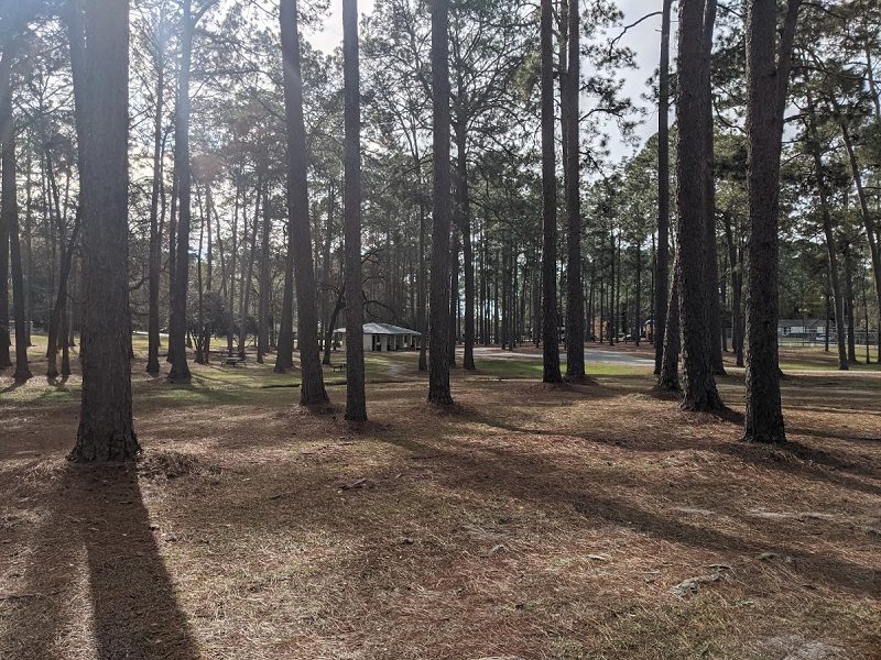 Wheeler Park